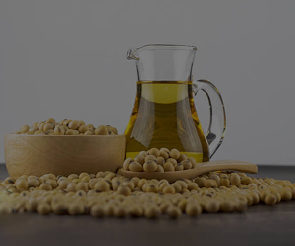 Các loại trục trặc phổ biến trong máy ly tâm decanter được sử dụng cho các ứng dụng bùn dầu là gì